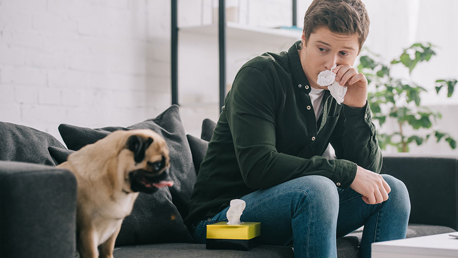 Purchasing an air purifier is one of the best ways to boost your residence’s indoor air quality. Learn more about the three top solutions. 